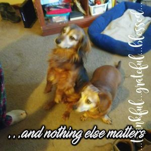 Meet your Posher, Tonia